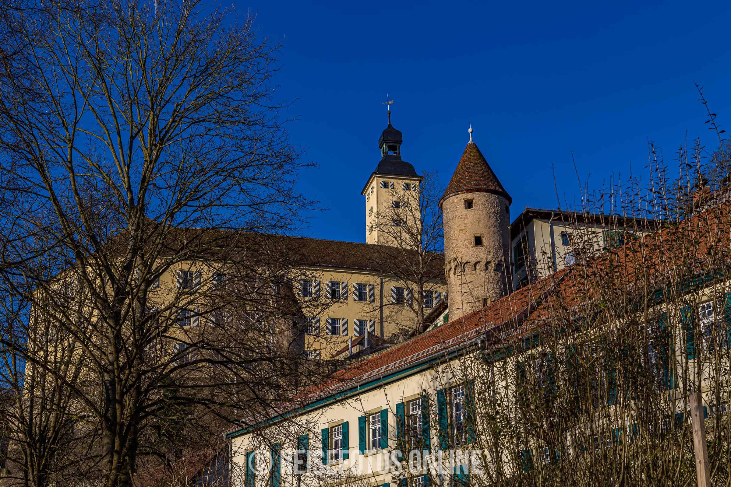 Blick auf Gundelsheim und die Burg Horneck